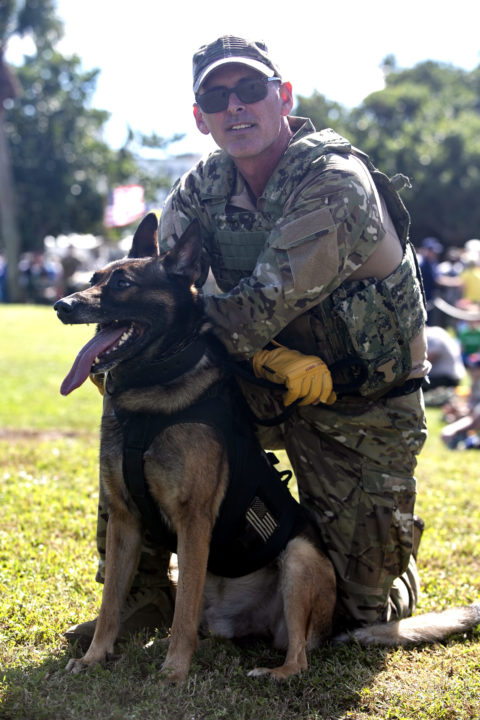 K9 Raven and K9 Bullet | The Navy SEAL Museum's Multipurpose Canines